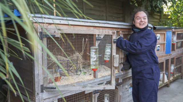 Student opening the rabbit hutch